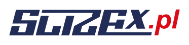 logo_2.png